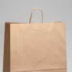 Paper Twisted Handle Bags
