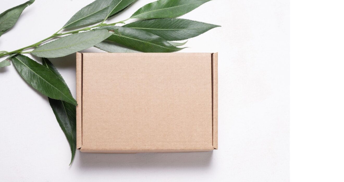 cardboard box