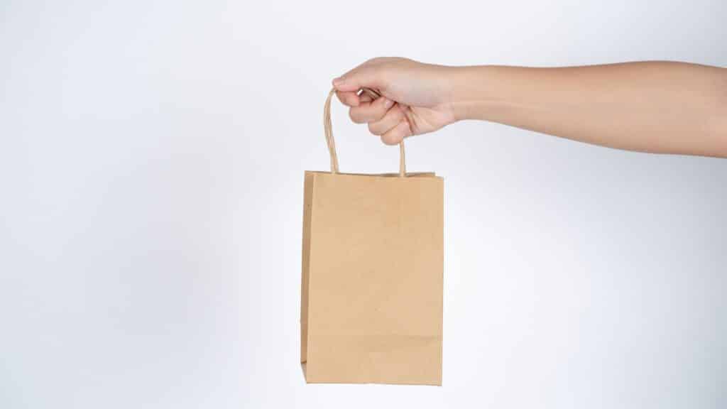paper twisted handle bag
