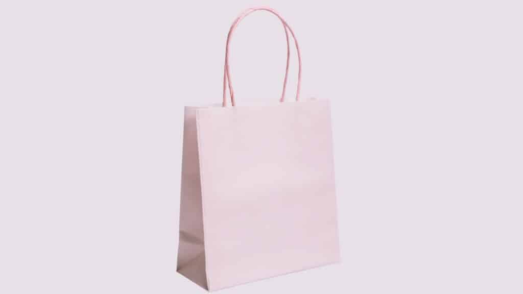 twisted handle bag