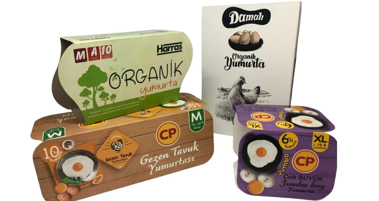 Food Boxes: A Complete Guide for Businesses
